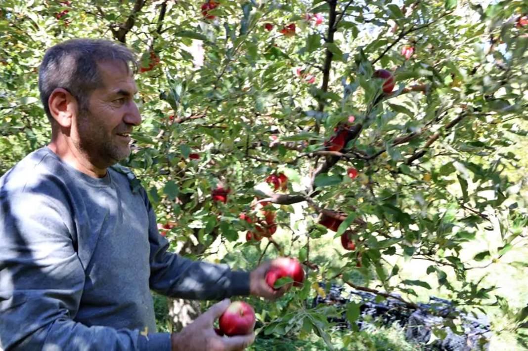 Yüksekova'da elma yağmuru! 'Taleplere yetişemiyorum' diye isyan etti 6